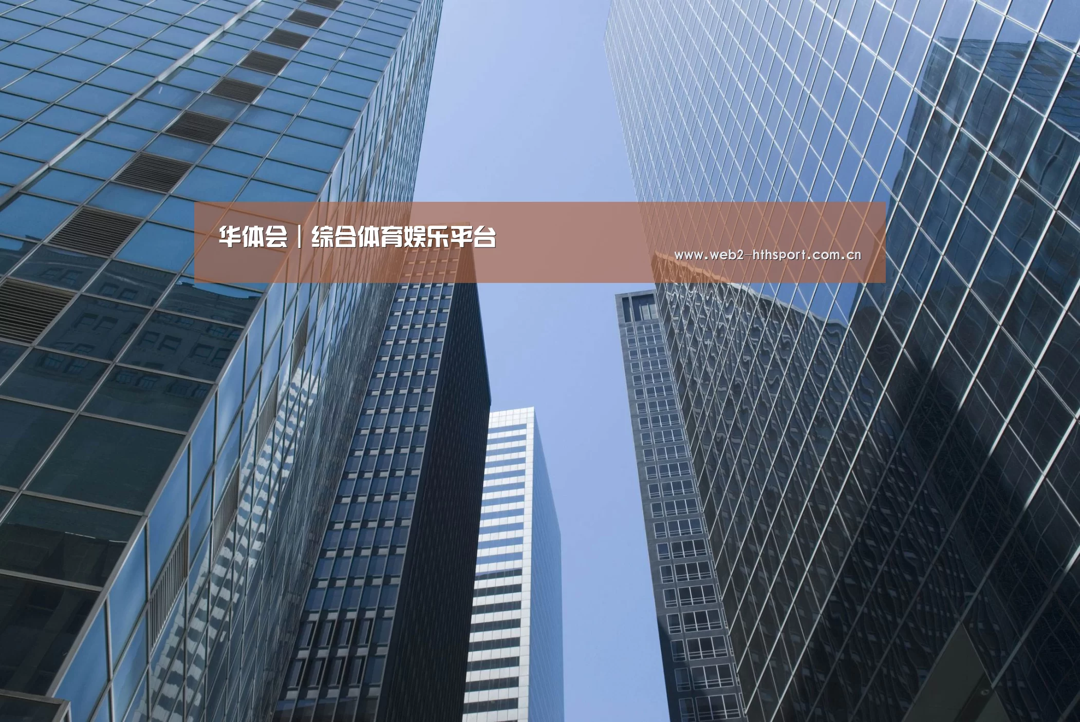 华体会体育公司简介 