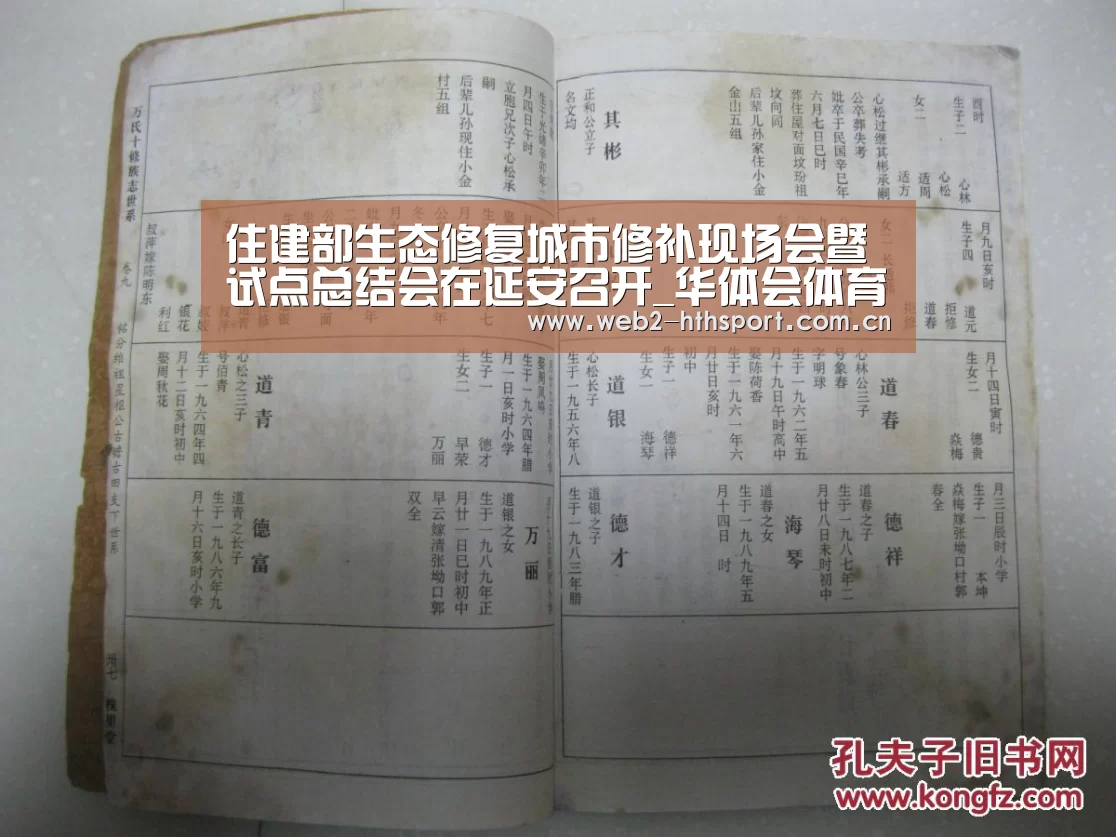 华体会体育