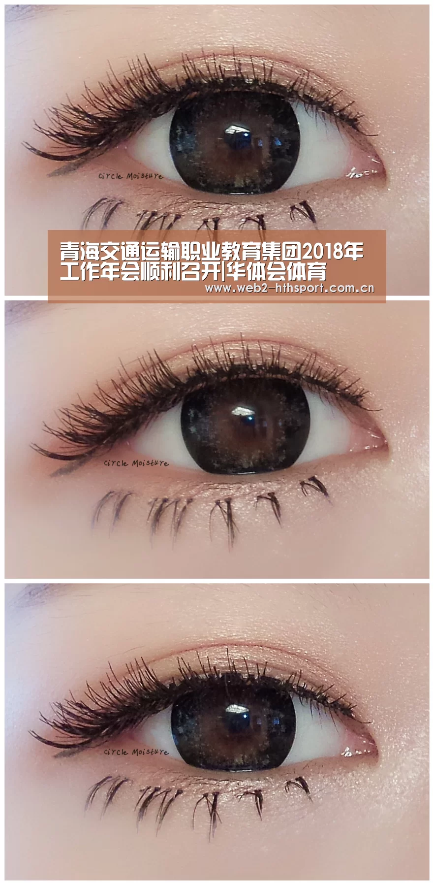 华体会体育