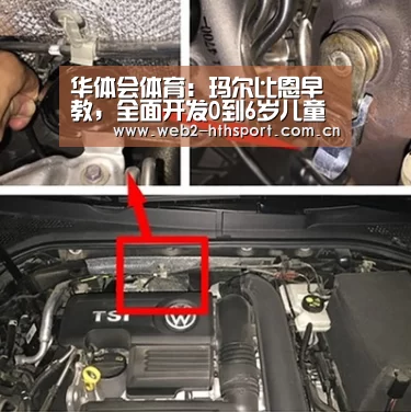 华体会体育:玛尔比恩早教,全面开发0到6岁儿童潜能(图2) 华体会体育
